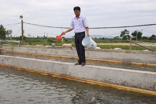 Phát triển nuôi trồng thủy sản tập trung: Hạ tầng kỹ thuật vẫn chưa đồng bộ