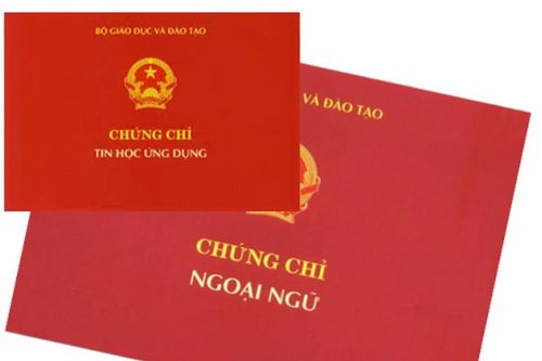 49 đơn vị phải dừng cấp chứng chỉ ngoại ngữ, tin học