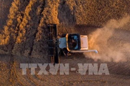 Kinh tế Canada quý II đạt mức tăng trưởng cao nhất kể từ năm 2017