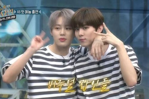 Phản ứng của Knet khi Ha Sung Woo nói về Kim Woo Seok (X1): 'Người ta bảo bọn em giống nhau'