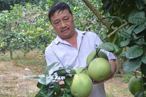 Học Bác là sự nỗ lực không ngừng