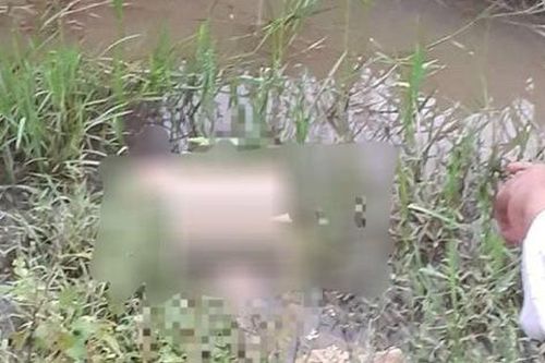 Hà Tĩnh: Người dân đi làm đồng tá hỏa phát hiện người đàn ông tử vong dưới ruộng lúa