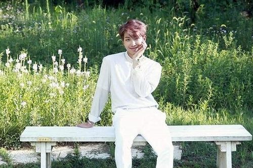 ARMY trồng hẳn một khu rừng nhỏ để chuẩn bị mừng sinh nhật RM BTS