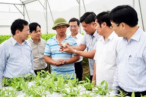 50 năm, quê hương sâu nặng ân tình