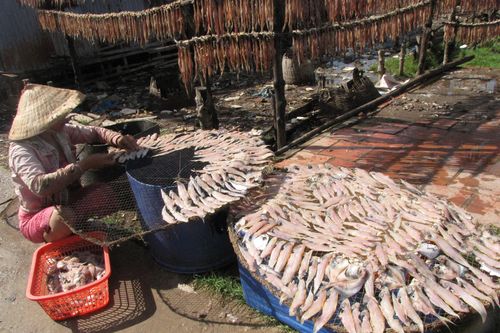 Thiếu trầm trọng lao động nông nghiệp 4.0