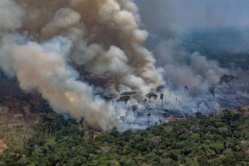 Tổng thống Brazil điều chỉnh sắc lệnh cấm đốt nương rẫy