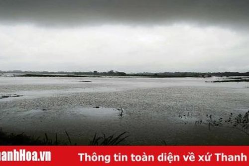 Cận cảnh xã Quảng Phú (Thọ Xuân) chìm trong nước lũ
