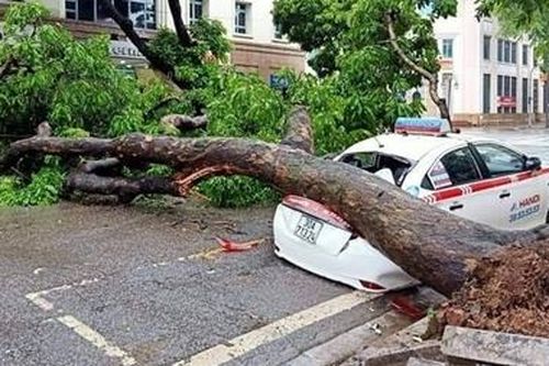 Hà Nội cây đổ, ngập nhiều nơi sau cơn mưa lớn