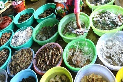 Dân buôn hải sản 'hốt bạc' dịp lễ 2/9, nhiều điểm bán bỏ túi hàng trăm triệu