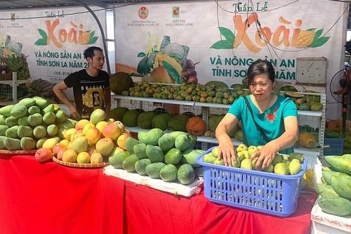 Ngọt thơm trái xoài Sơn La
