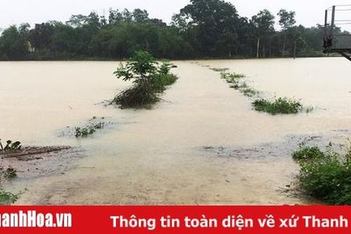 Thanh Hóa: Mưa lũ đã làm 1.189,3 ha nuôi trồng thủy sản bị ảnh hưởng