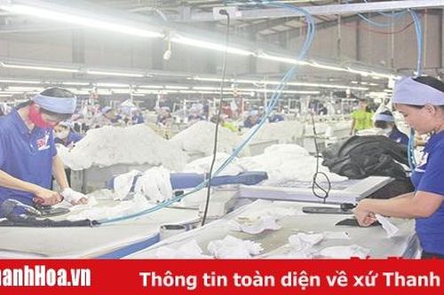 Bất cập trong quy hoạch, xây dựng các nhà máy may mặc, giầy da