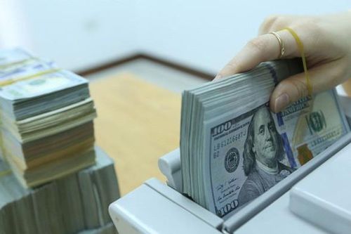 Luật PPP: 'Không thể sử dụng dự trữ ngoại hối để bảo đảm ngoại tệ và bảo lãnh tỷ giá'