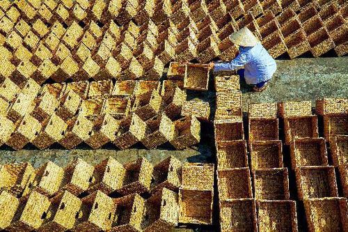Từ một trại sáng tác…