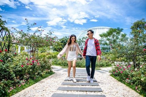 Vượt biển khám phá Vương quốc hoa hồng-Trải nghiệm cực ngọt ngào tại Nha Trang