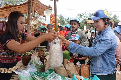 Lễ hội dâu da đỏ An Khê thu hút hàng ngàn người tham dự