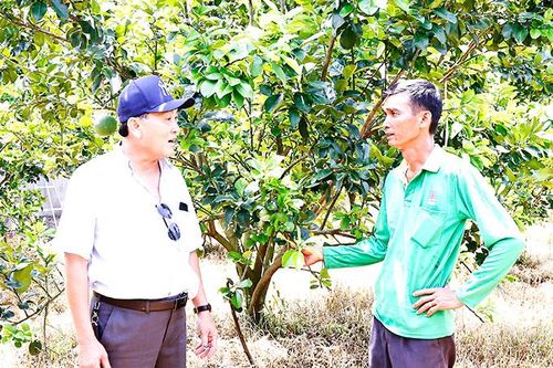Khánh Vĩnh: Nghiên cứu bổ sung cây trồng chủ lực