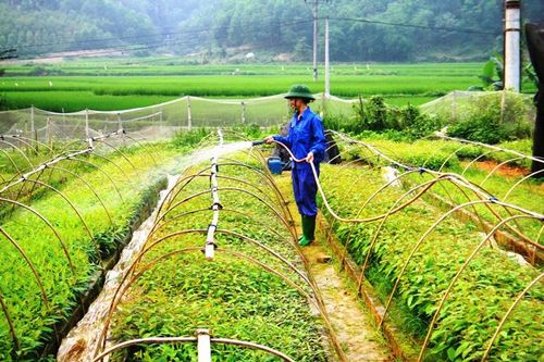 Chăm lo cho người lao động