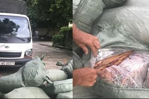 800kg lòng lợn khô giấu trong xe tải nhập lậu qua biên giới