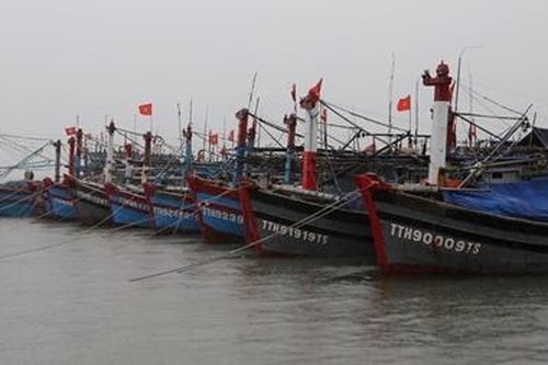 Thừa Thiên Huế cấm biển, chủ động ứng phó với áp thấp nhiệt đới