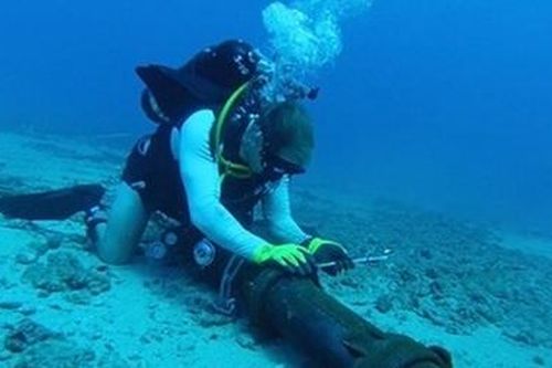 Kế hoạch sửa chữa cáp quang AAG lại bị lùi