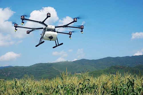 Vũ khí hi-tech mới của nông dân diệt 98% côn trùng gây hại