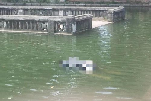 Hà Nội: Hoảng hốt phát hiện thi thể người phụ nữ nổi trên mặt ao