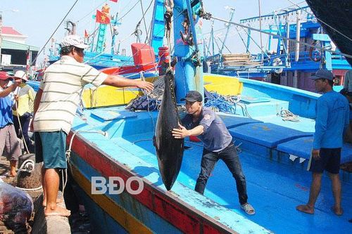 Xây dựng Bình Định thành trung tâm kinh tế biển