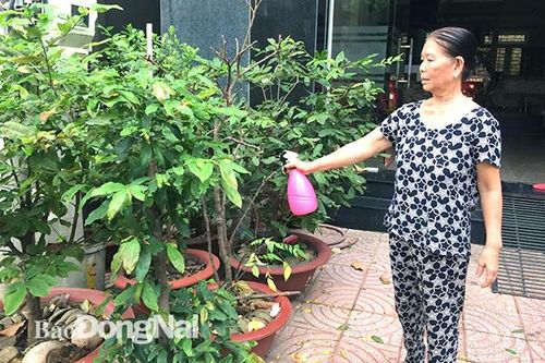 Sao không được phun thuốc diệt muỗi?