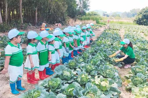 An Khê: Giáo dục mầm non ngoài công lập khẳng định vị thế