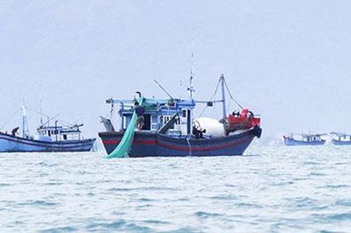 Giã cào trên vịnh Vân Phong