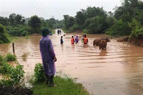 Chủ động triển khai các biện pháp ứng phó với thiên tai