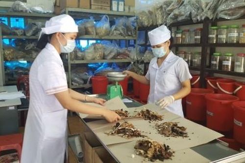 Y tế - Sức khỏe Tin tức y tế Chia sẻ kinh nghiệm trong khám, điều trị y học cổ truyền
