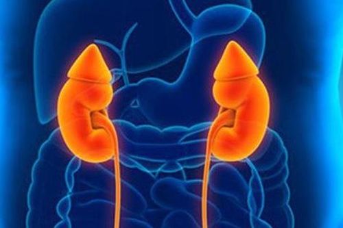 Người đàn ông 36 tuổi nhập viện vì suy thận, thủ phạm chính là 2 loại 'nước' nhiều người thích