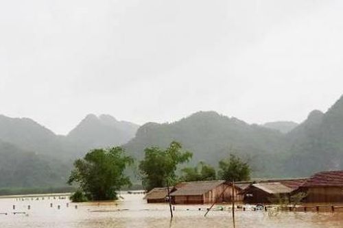Mưa lũ gây thiệt hại nghiêm trọng tại các tỉnh Bắc Trung Bộ
