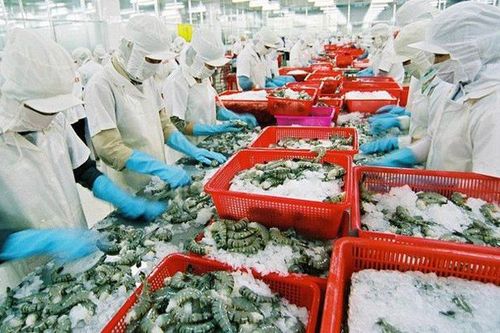 Ưu thế và thách thức của tôm Việt tại thị trường Mỹ và EU
