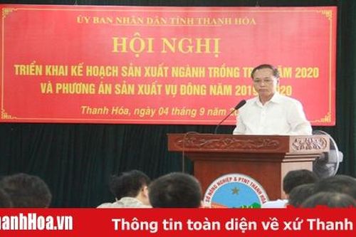 Vụ đông năm 2019 – 2020 toàn tỉnh phấn đấu gieo trồng 47.000 ha