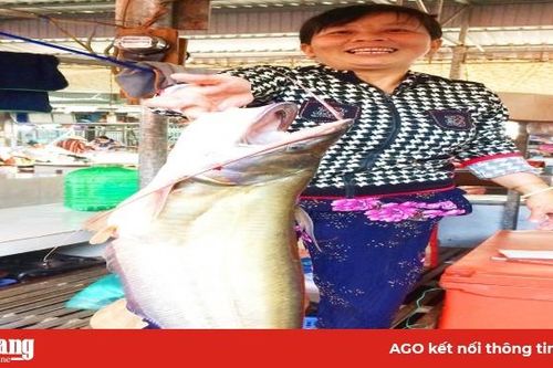 Nhiều loại cá, tôm sông giá cao