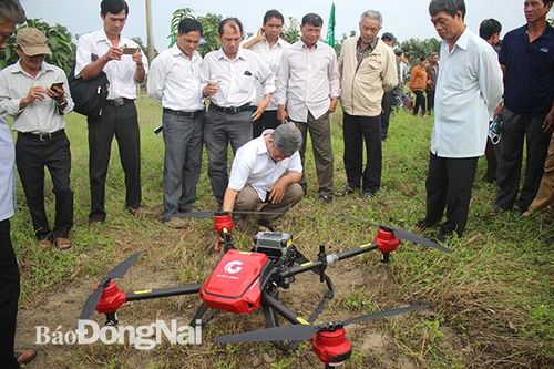 Đột phá từ nông nghiệp công nghệ cao