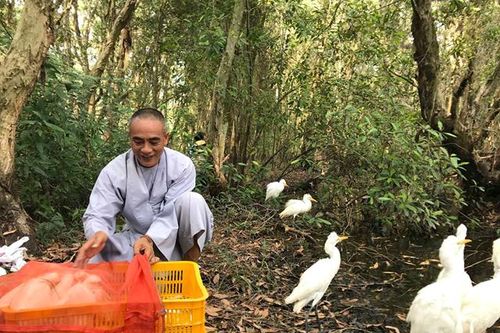 Phóng sanh động vật hoang dã vào Vườn Quốc gia Tràm Chim