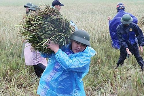 Các địa phương khẩn trương khắc phục hậu quả mưa lũ