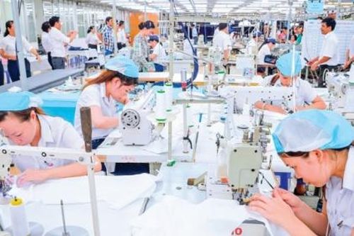 Nên có cách tiếp cận phù hợp với thị trường EU
