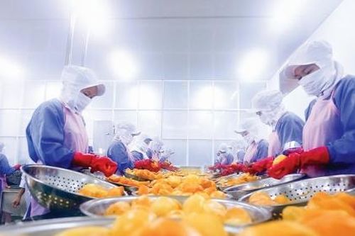 EVFTA: Đường rộng có dễ đi?