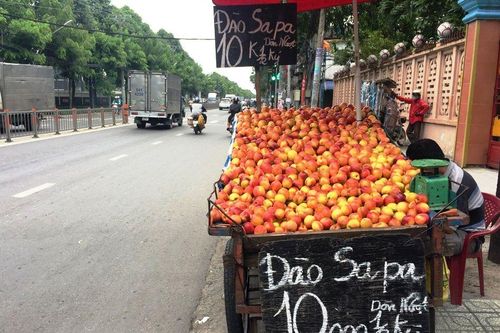 Đào, nho, mận Trung Quốc gắn mác Việt bày bán tràn ngập nhiều đường phố Sài Thành