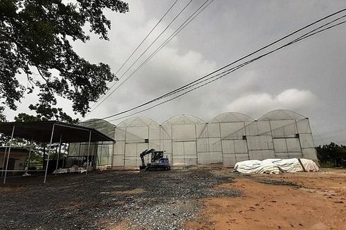 Phú Thọ: Đóng cửa xưởng sản xuất phân vi sinh không phép, gây ô nhiễm