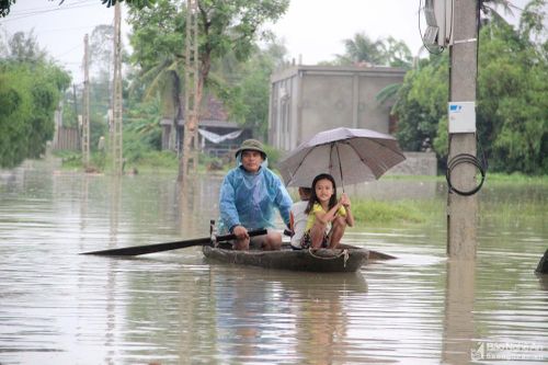 Nghệ An: Nước ngập trắng ruộng đồng, dân bơi thuyền đi lại