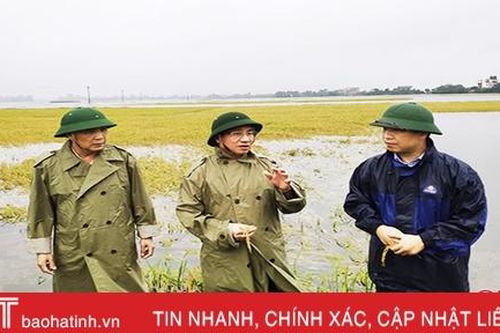 Bí thư Tỉnh ủy: Dồn sức thu hoạch lúa, hỗ trợ nhân dân hong sấy và tiêu thụ sản phẩm