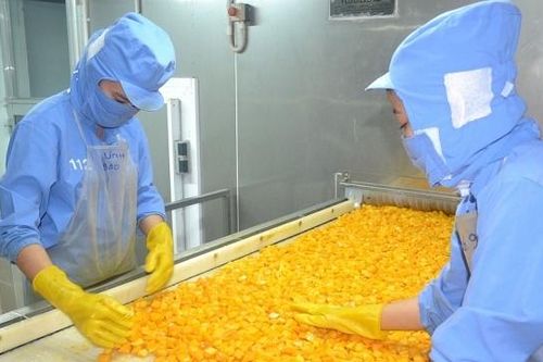 Yếu sức cạnh tranh, xuất khẩu rau quả giảm nhẹ