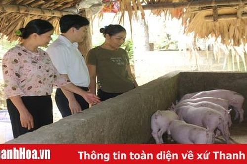 Agribank Thanh Hóa tập trung cho vay đầu tư phát triển nông nghiệp, nông thôn