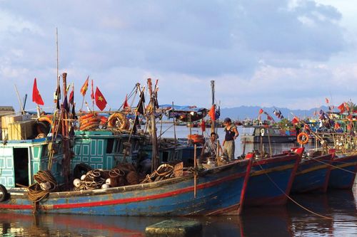 Khai thác thủy sản phải có quy hoạch